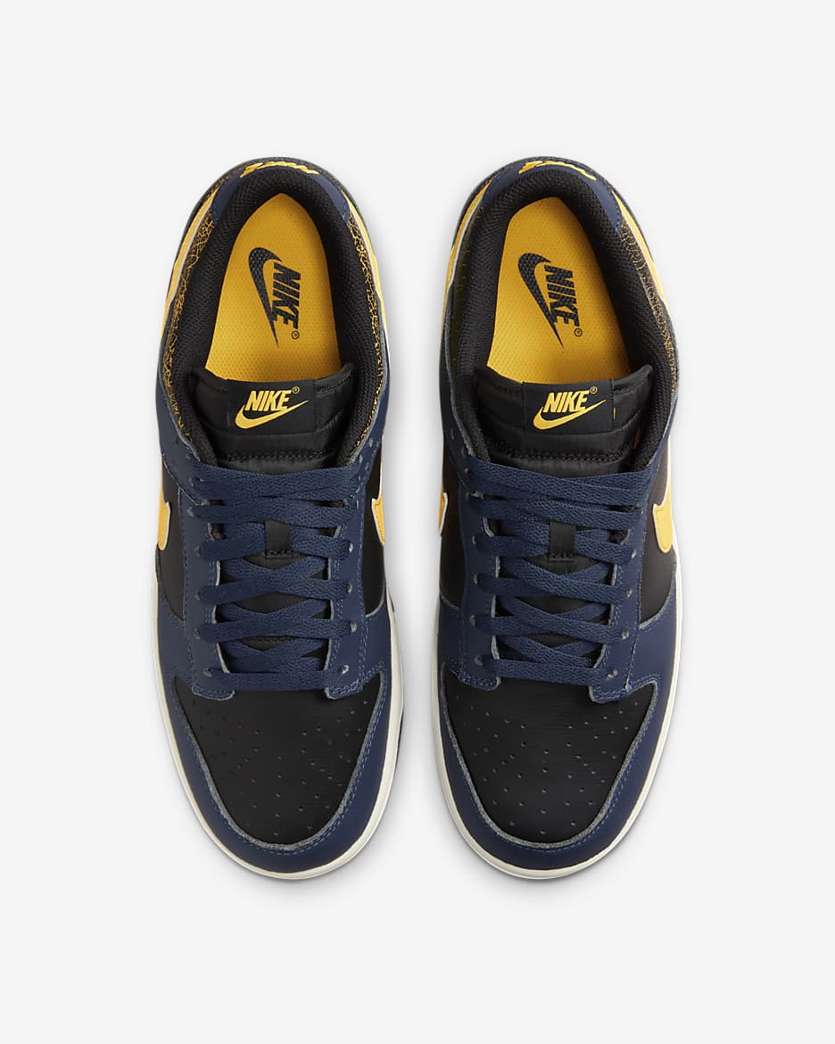 Nike Dunk Low Retro Men's Shoes